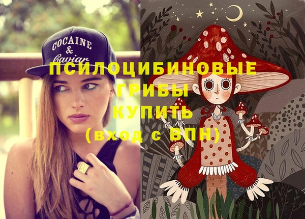 гашик Абинск