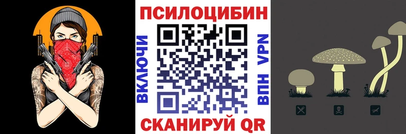 что такое наркотик  Нестеровская  Псилоцибиновые грибы мицелий 